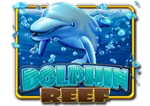 mega888-dolphin-reef